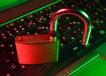 Preventing data breaches: steps every business can take